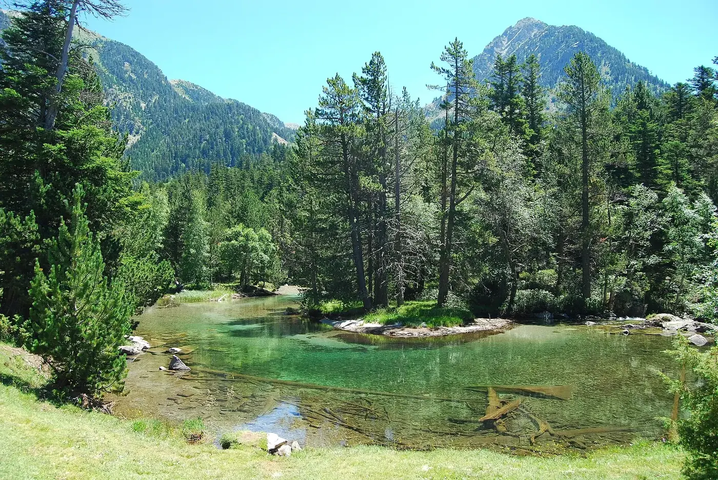 Arroyo y bosque en el Planell d'Aigüestortes