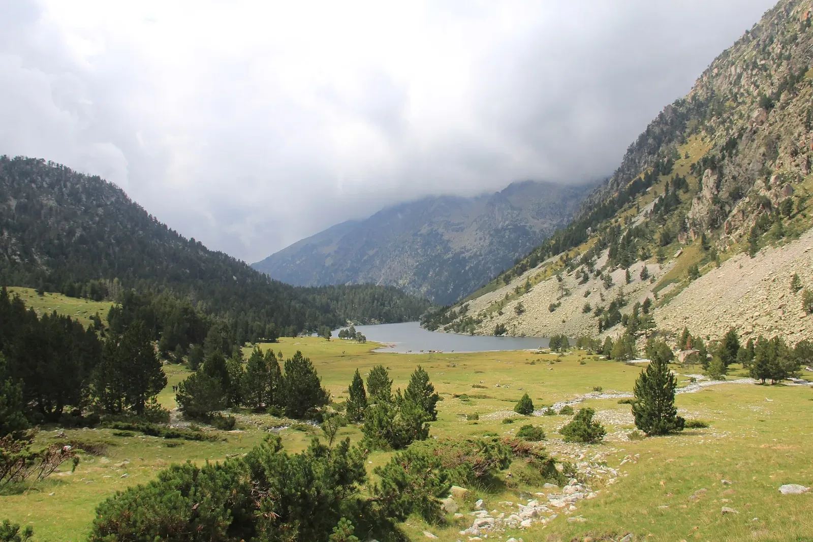 Prado y lago en Aigüestortes con montañas