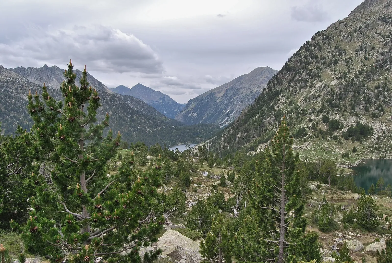 Valle de alta montaña en Aigüestortes