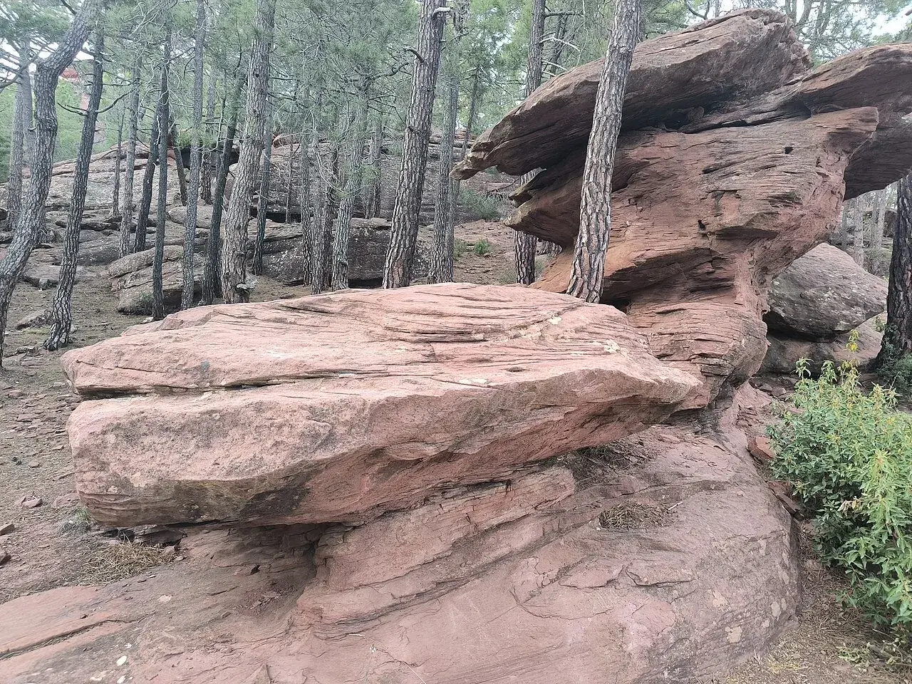 Roca con forma de seta en los Pinares de Rodeno