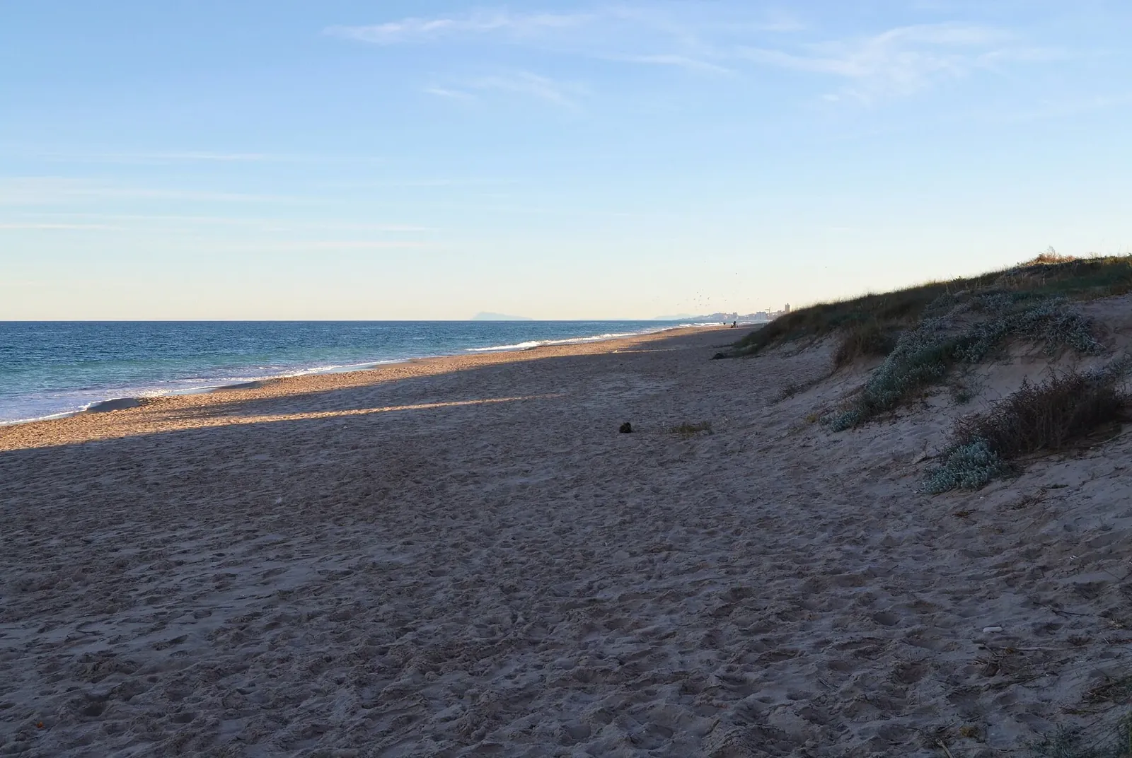 Playa y dunas de la Devesa del Saler