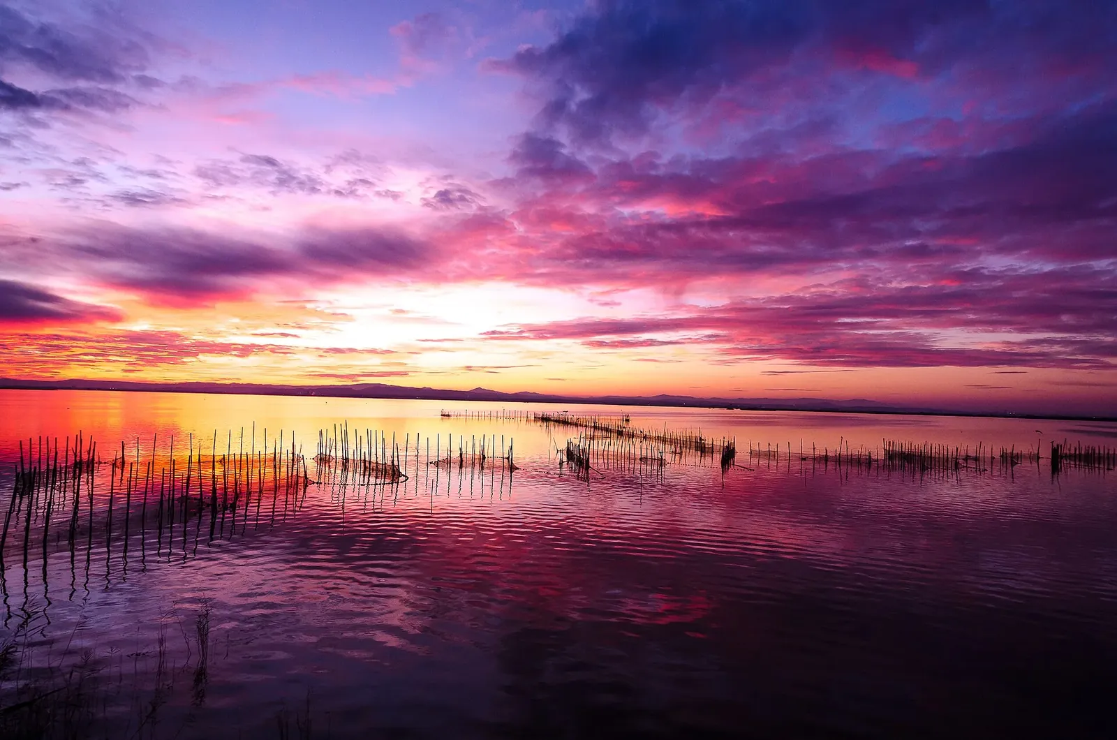 La Albufera de Valencia: paseo en barca, atardecer, El Palmar y la cuna del arroz