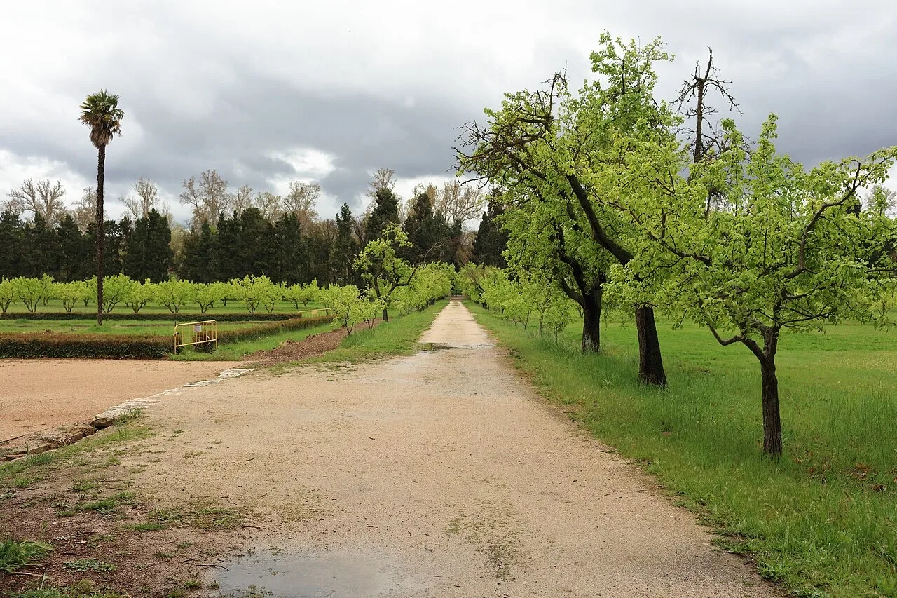 Paseo arbolado en el Jardín del Príncipe