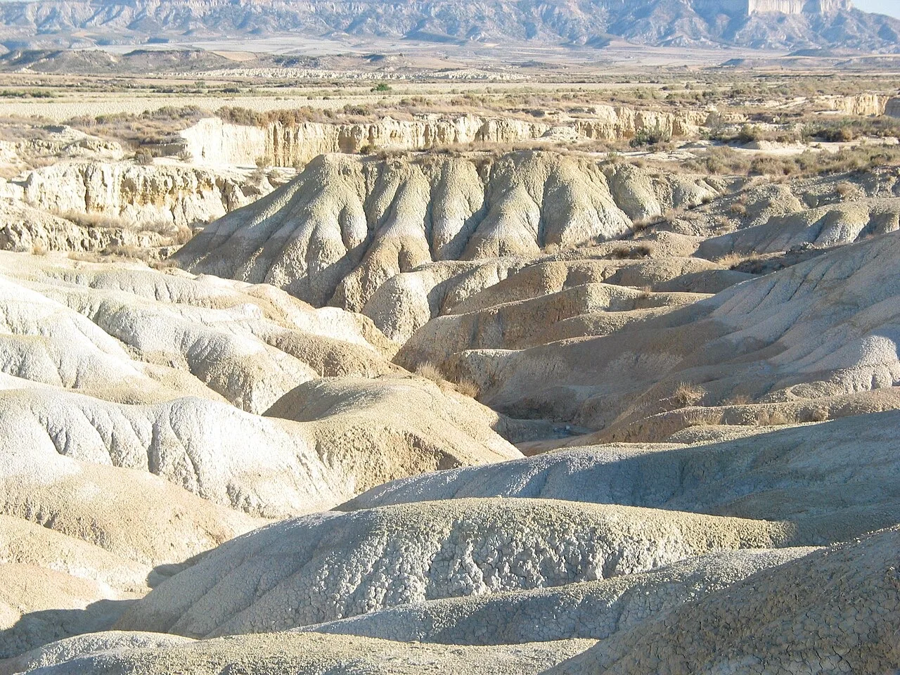 Llanura de la Bardena Blanca