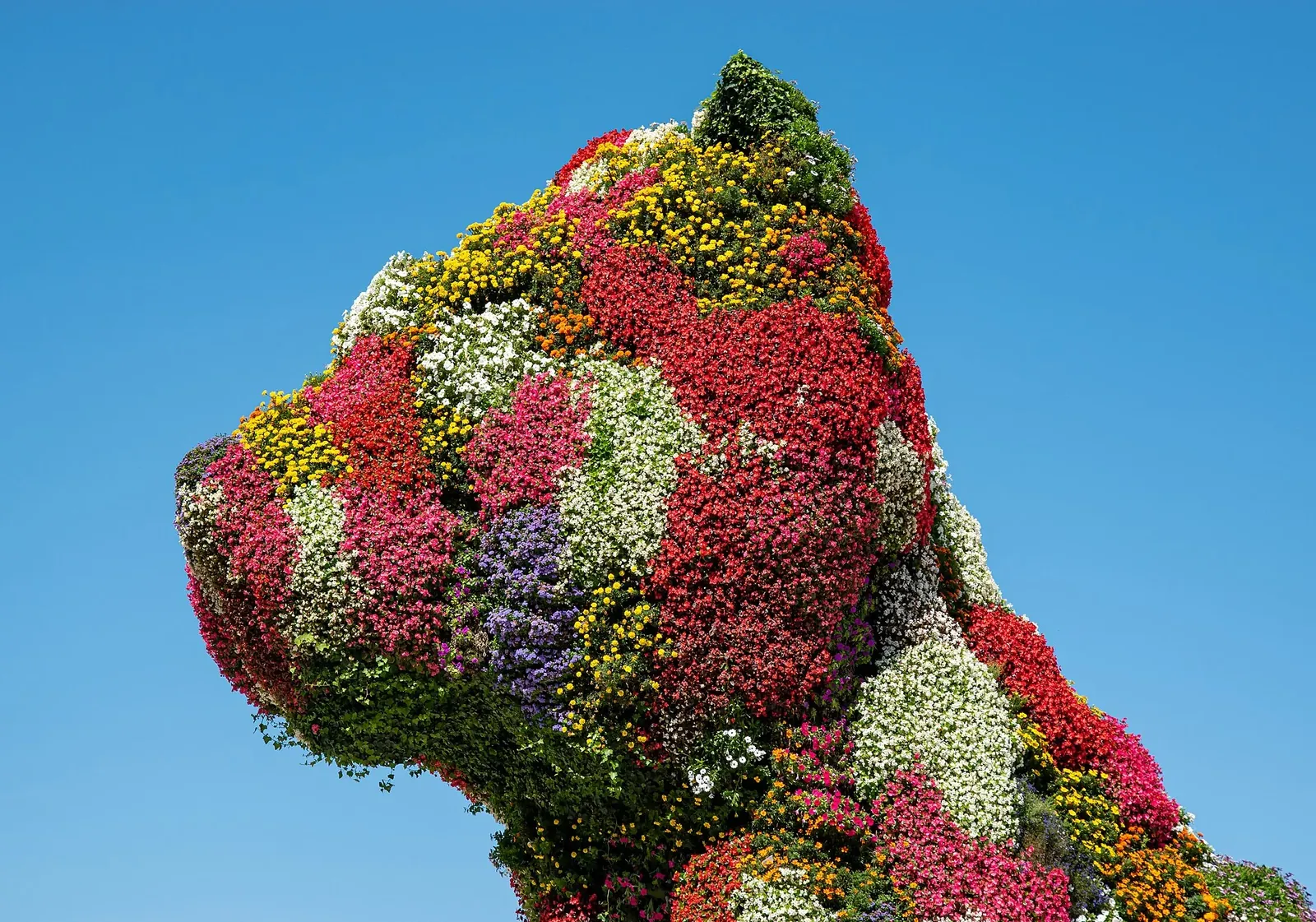Puppy de Jeff Koons cubierto de flores frente al Guggenheim
