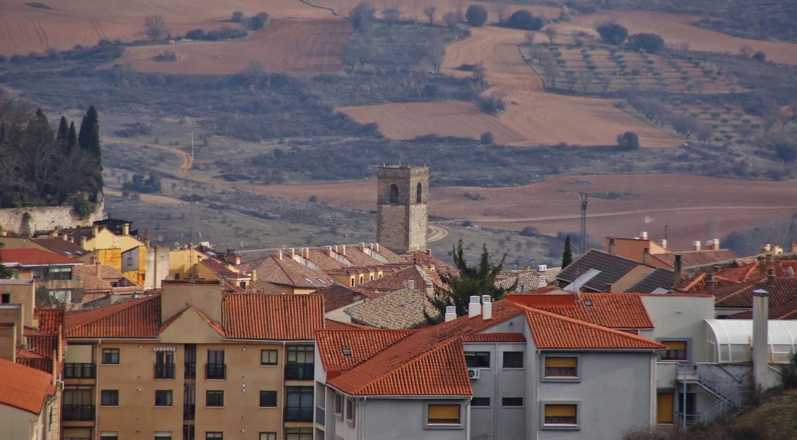 Tejados de Brihuega con la Alcarria al fondo