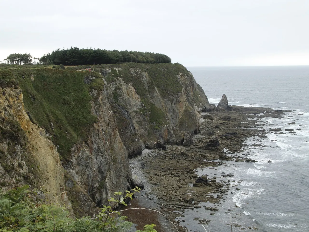Acantilados desde Cabo Busto en Valdés