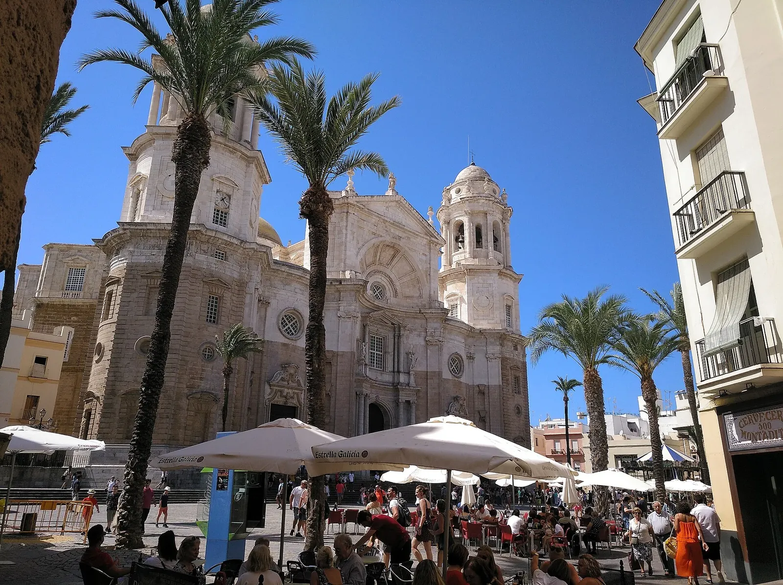 Catedral de Cádiz y su plaza con palmeras
