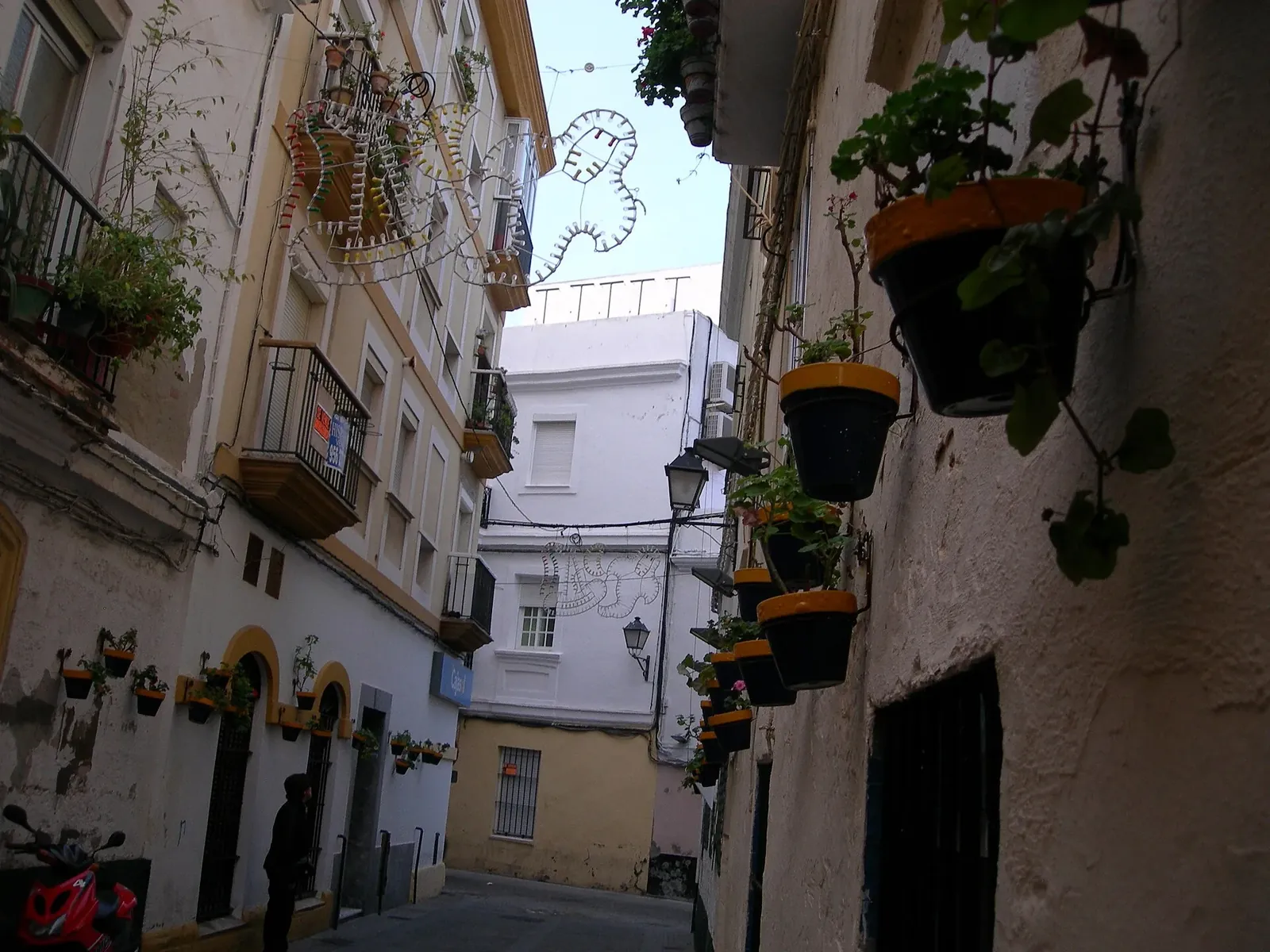 Calle con macetas del barrio de la Viña en Cádiz