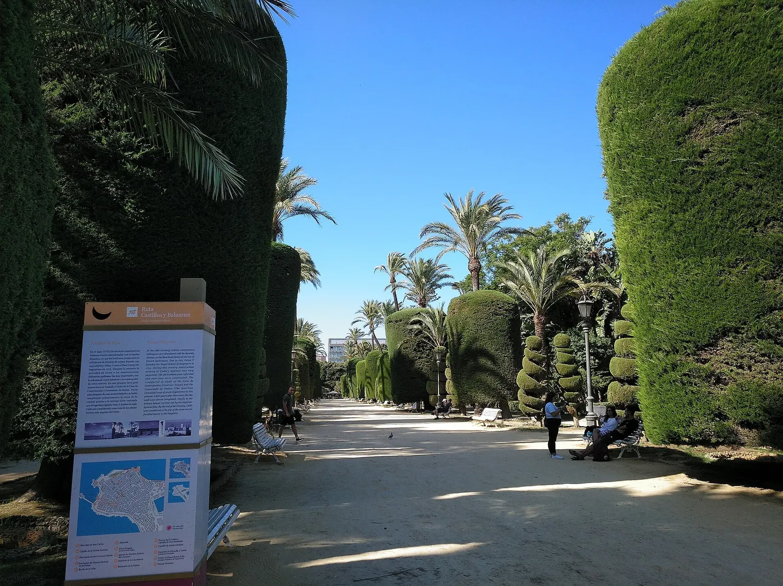 Paseo con setos del Parque Genovés de Cádiz