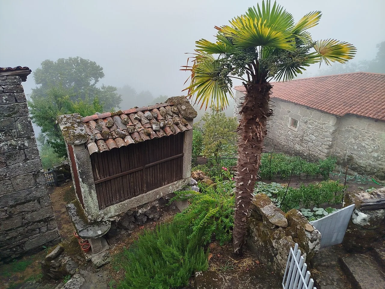 Monasterio de Santo Estevo de Ribas de Sil