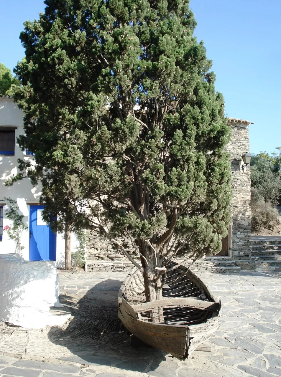 Barca con un ciprés en Portlligat