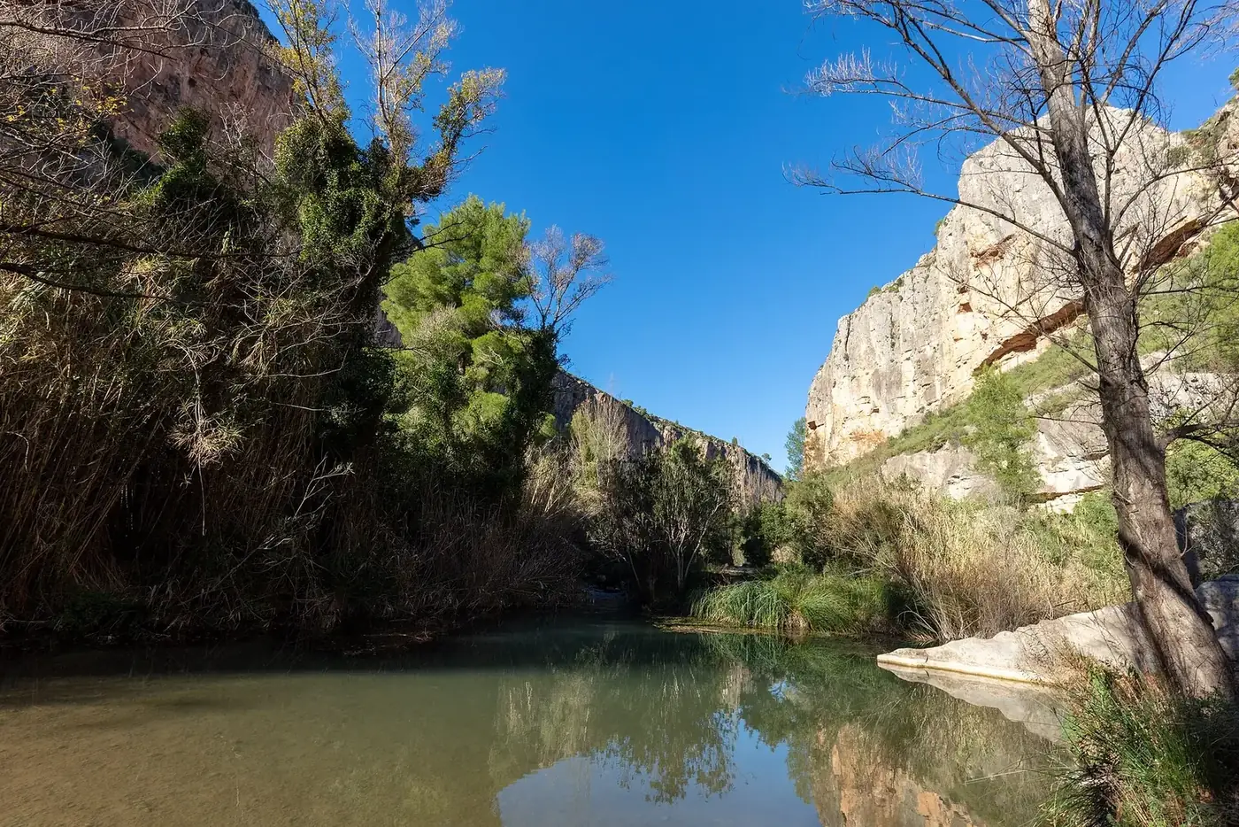 Remanso del río Turia entre vegetación en Chulilla