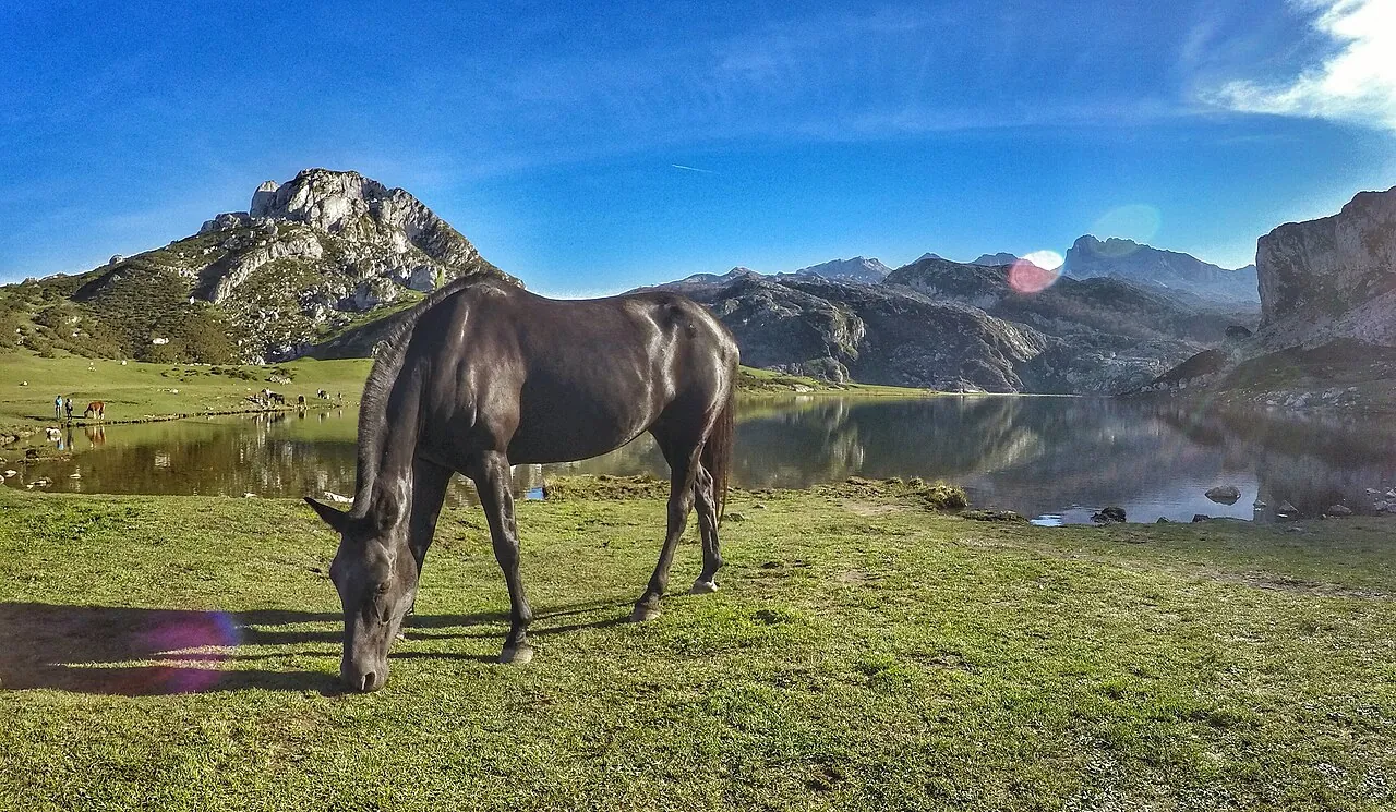 Lago Ercina con los Picos de Europa al fondo