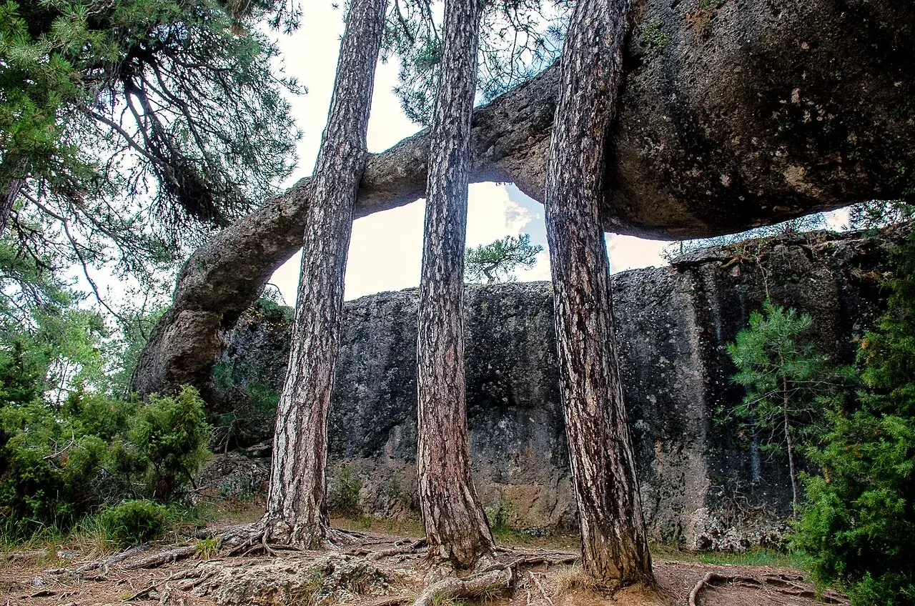 El elefante y el cocodrilo, Ciudad Encantada de Cuenca