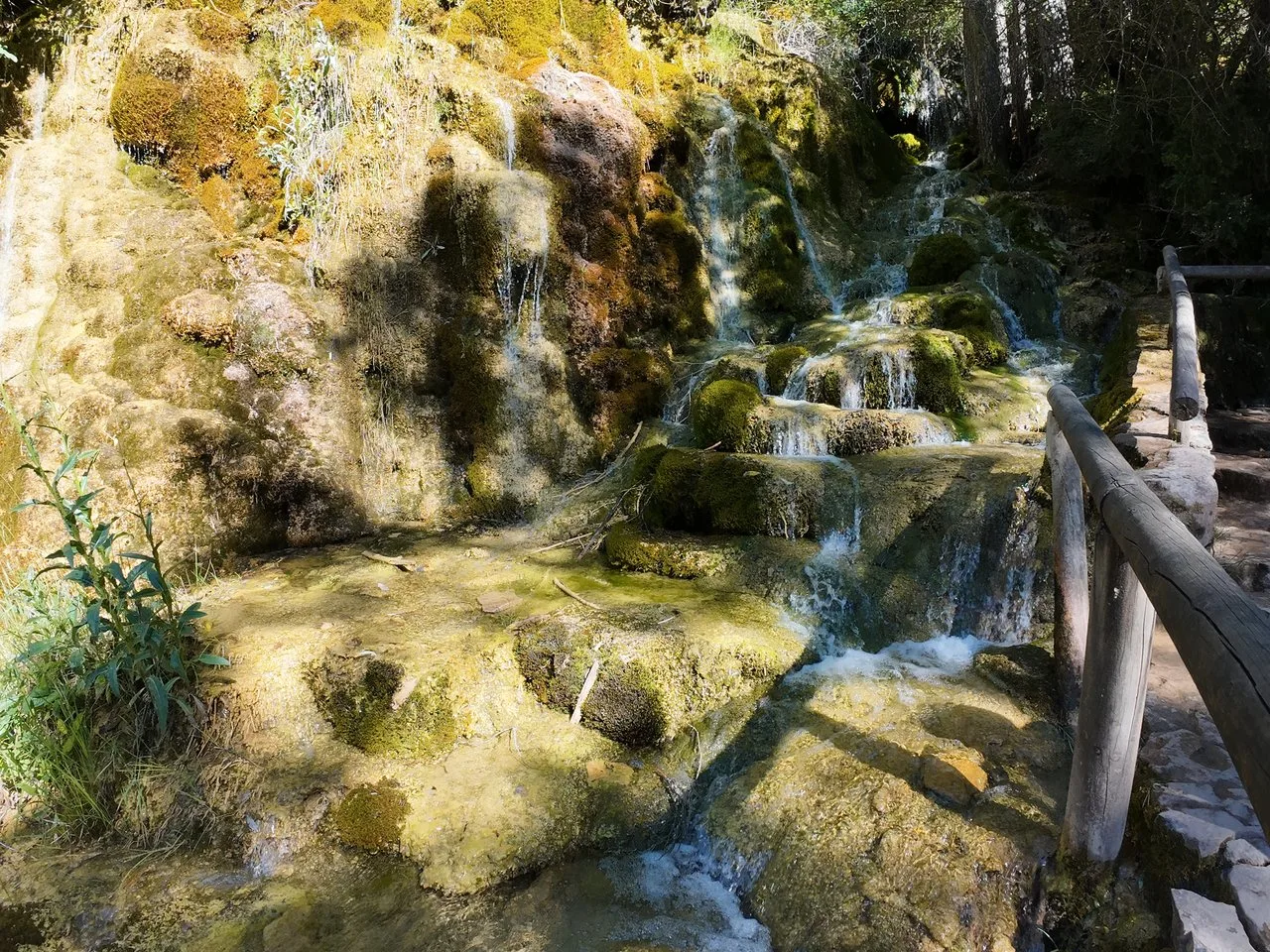 Musgo y toba en el Nacimiento del río Cuervo