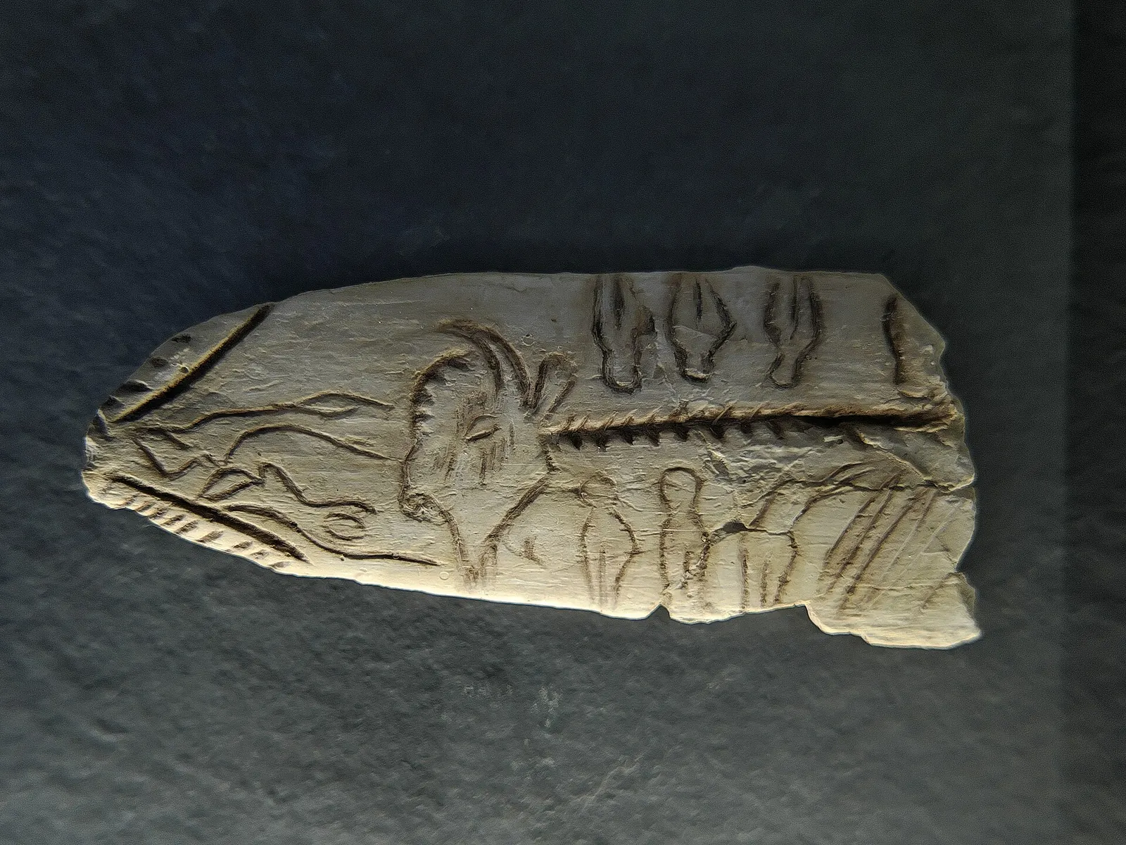 Pieza paleolítica grabada expuesta en el Museo de Altamira