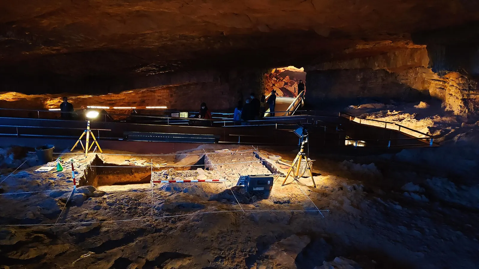 Reproducción de la Neocueva de Altamira