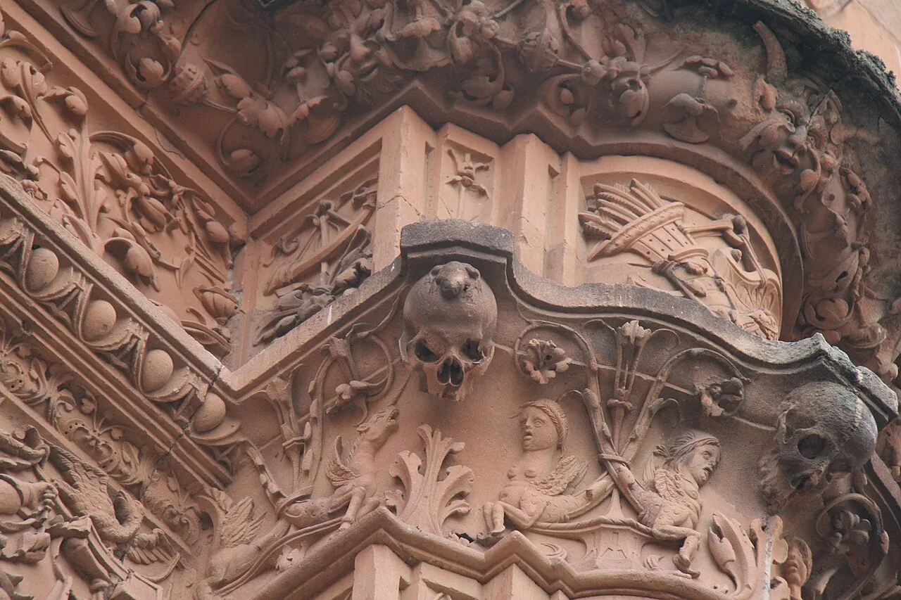 Rana en la fachada de la Universidad de Salamanca