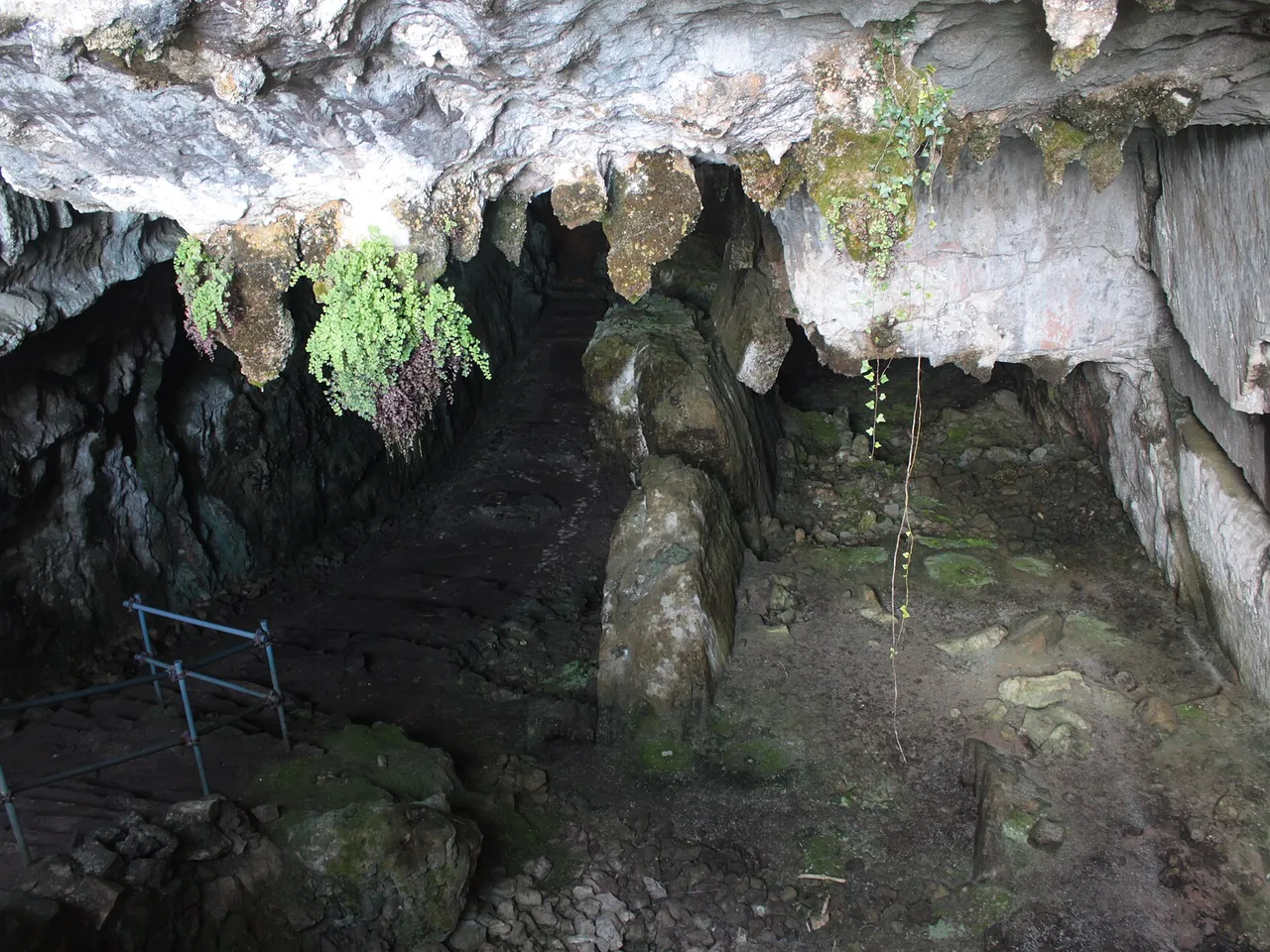 Interior de la cueva del Pindal