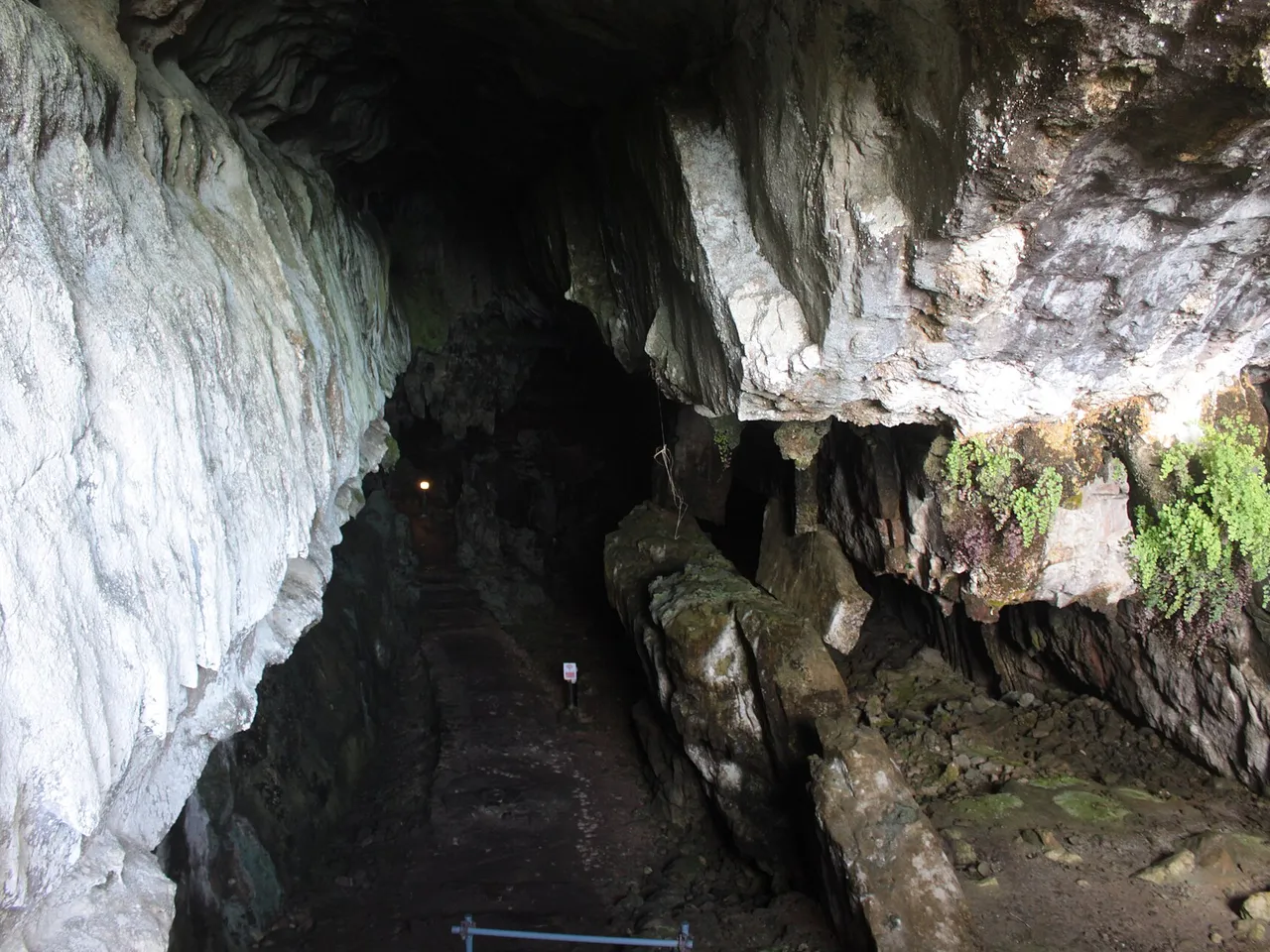 Pinturas en la cueva del Pindal