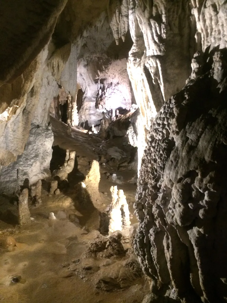 Cuevas de Urdax