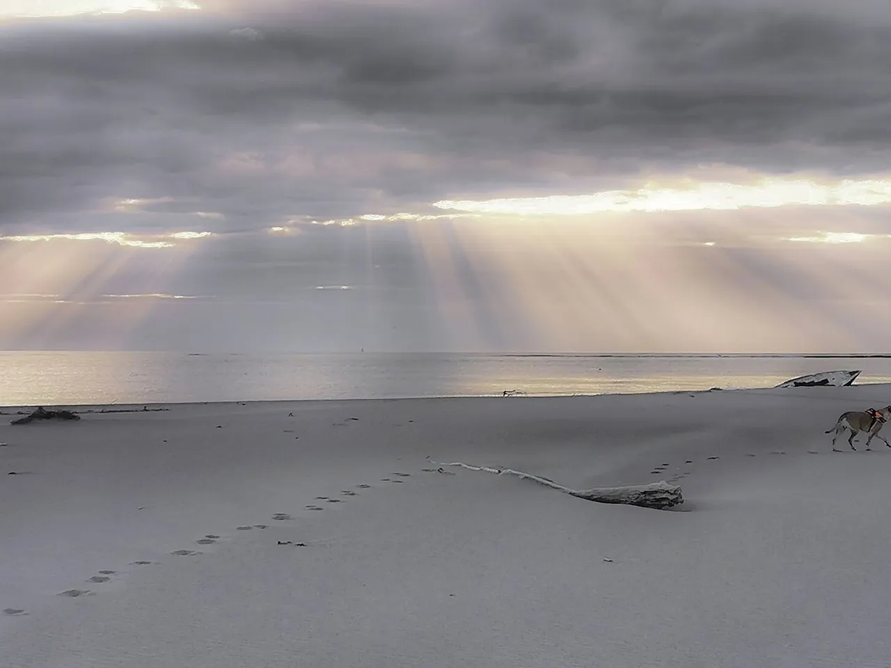 Playa de Riumar al amanecer en el Delta del Ebro
