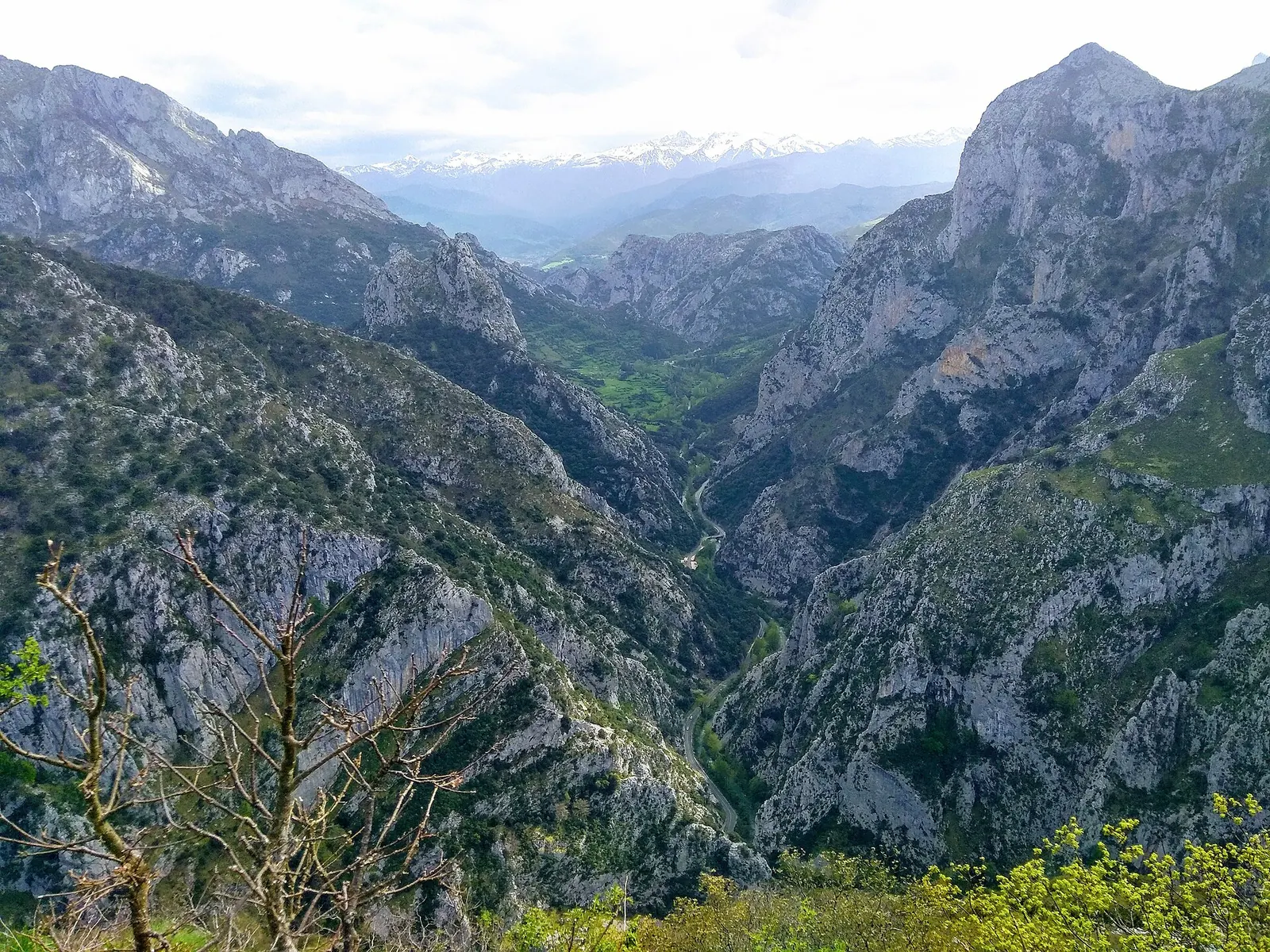 Desfiladero de La Hermida: el cañón más largo de España