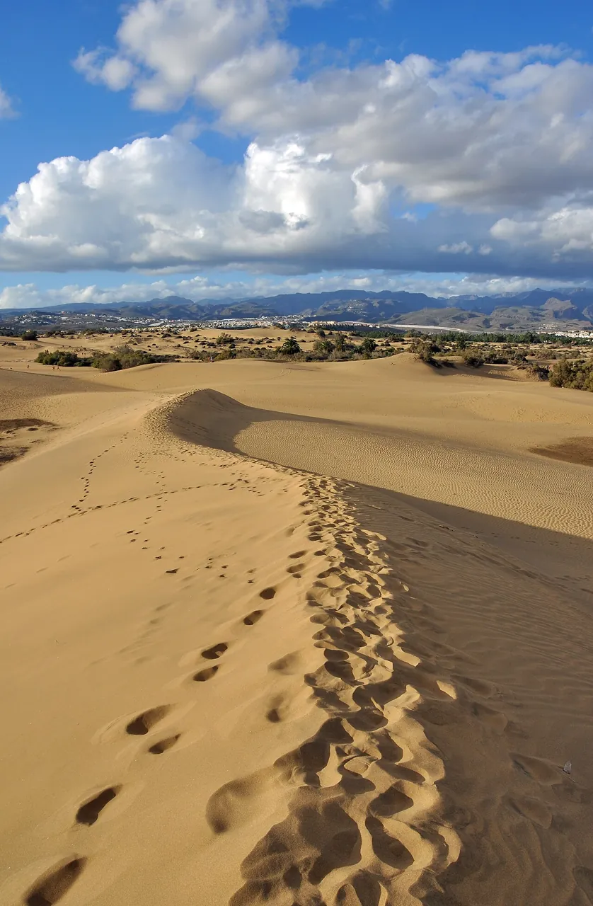 Huellas en una duna de Maspalomas