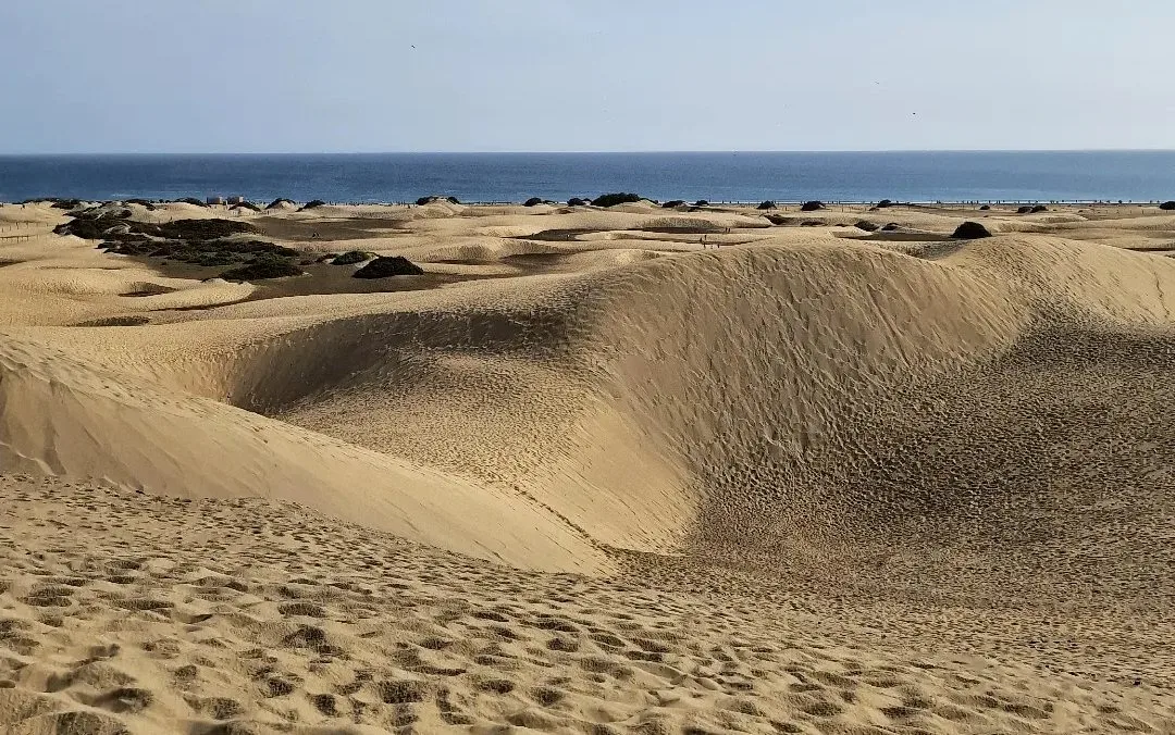 Dunas de Maspalomas