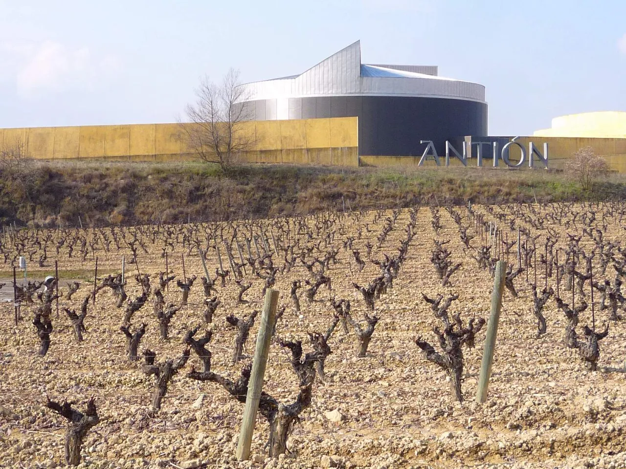 Viñedos de Elciego con una bodega moderna al fondo