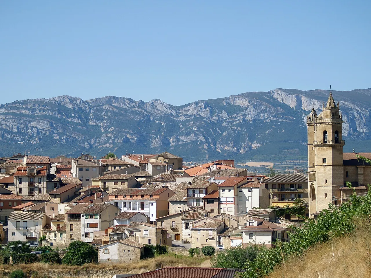 Vista del pueblo de Elciego con su iglesia entre viñedos