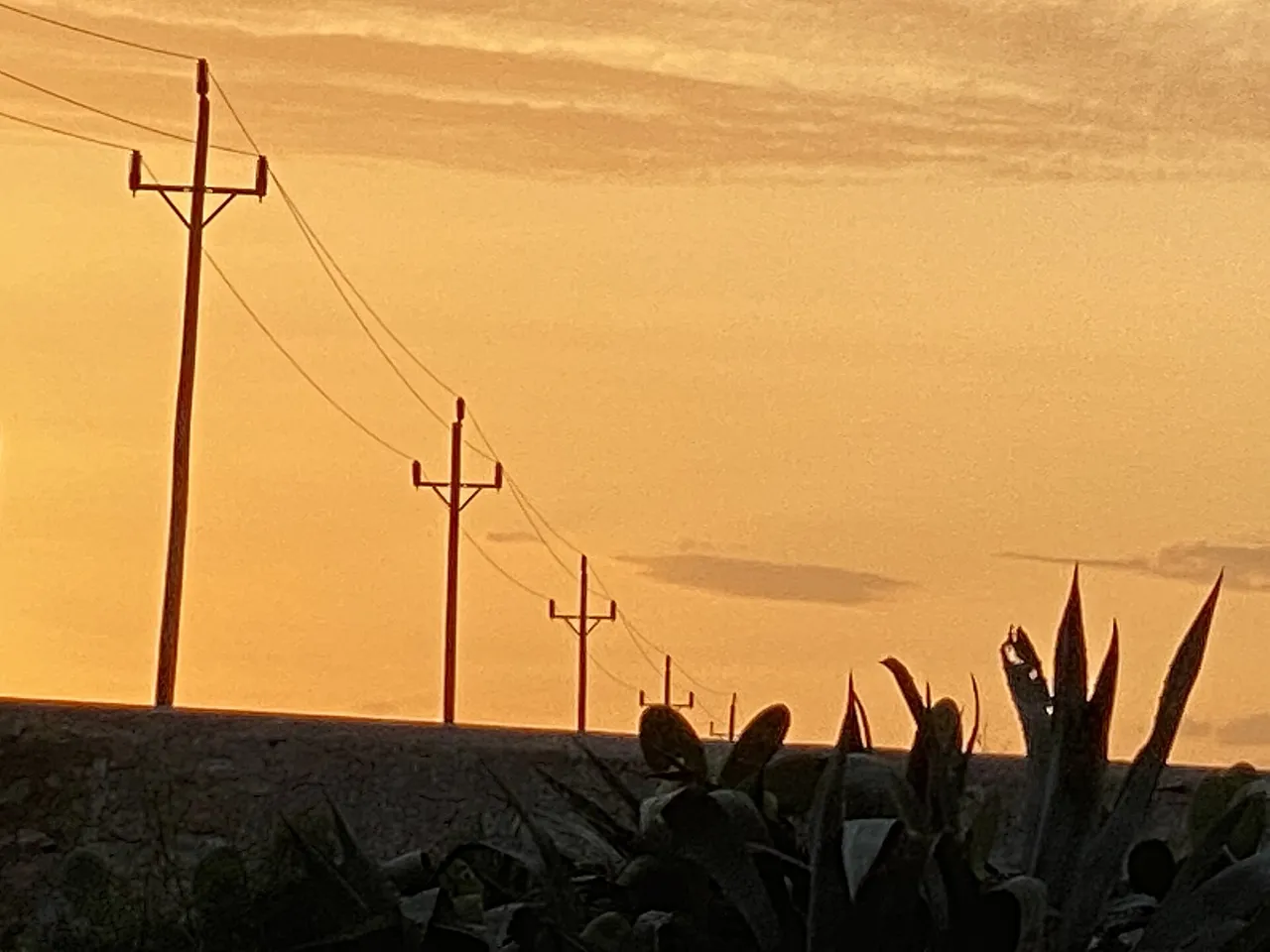 Cielo anaranjado al atardecer con cables y plantas en La Mola