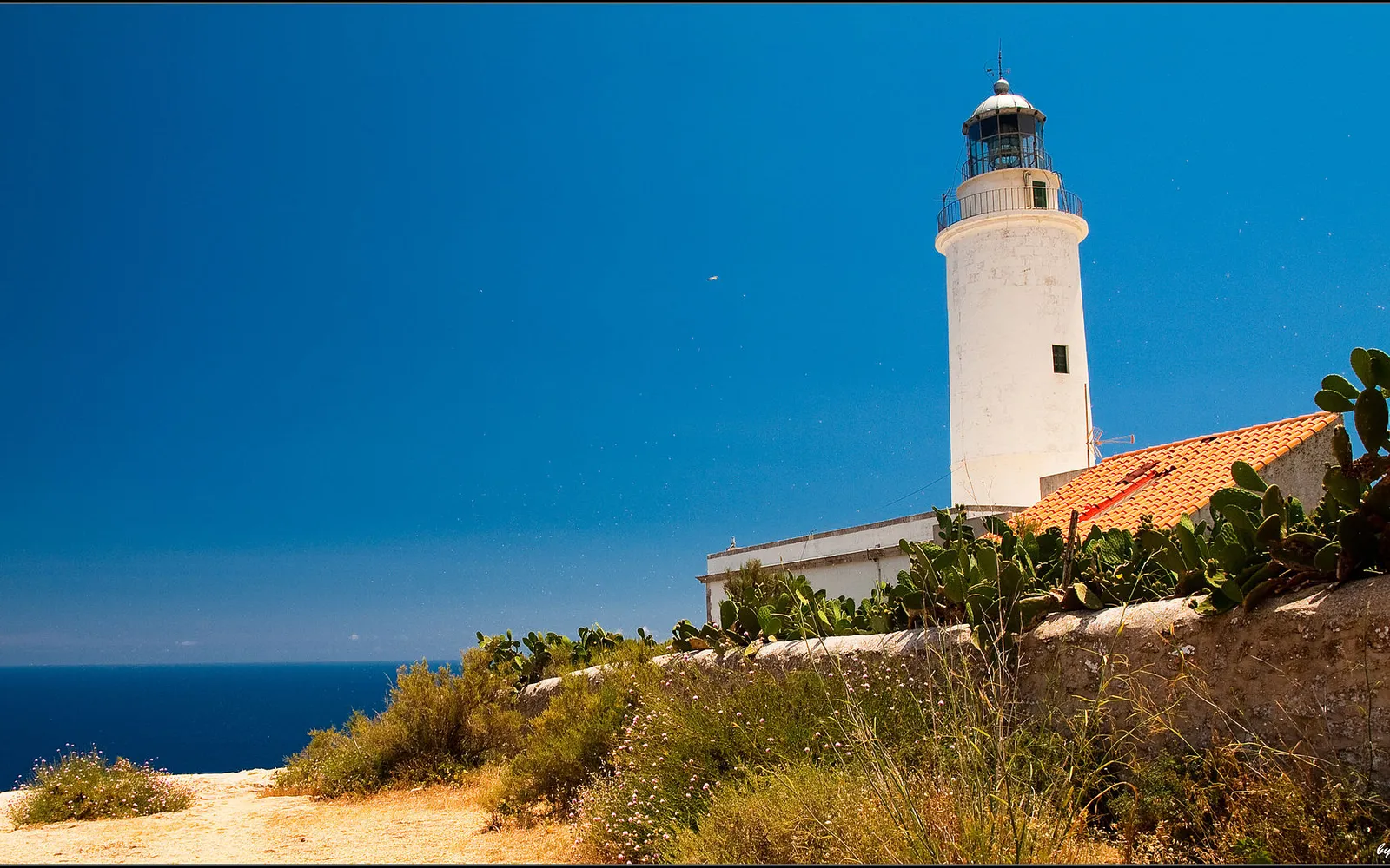 Faro de la Mola (Formentera): amanecer, Molí Vell y mercadillo de El Pilar de la Mola