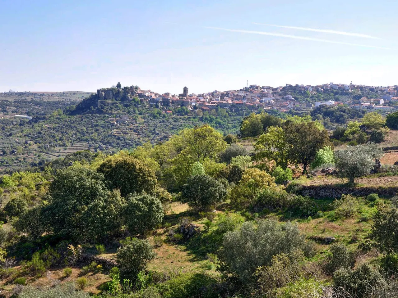 Calle de Fermoselle con casas de piedra y balcones