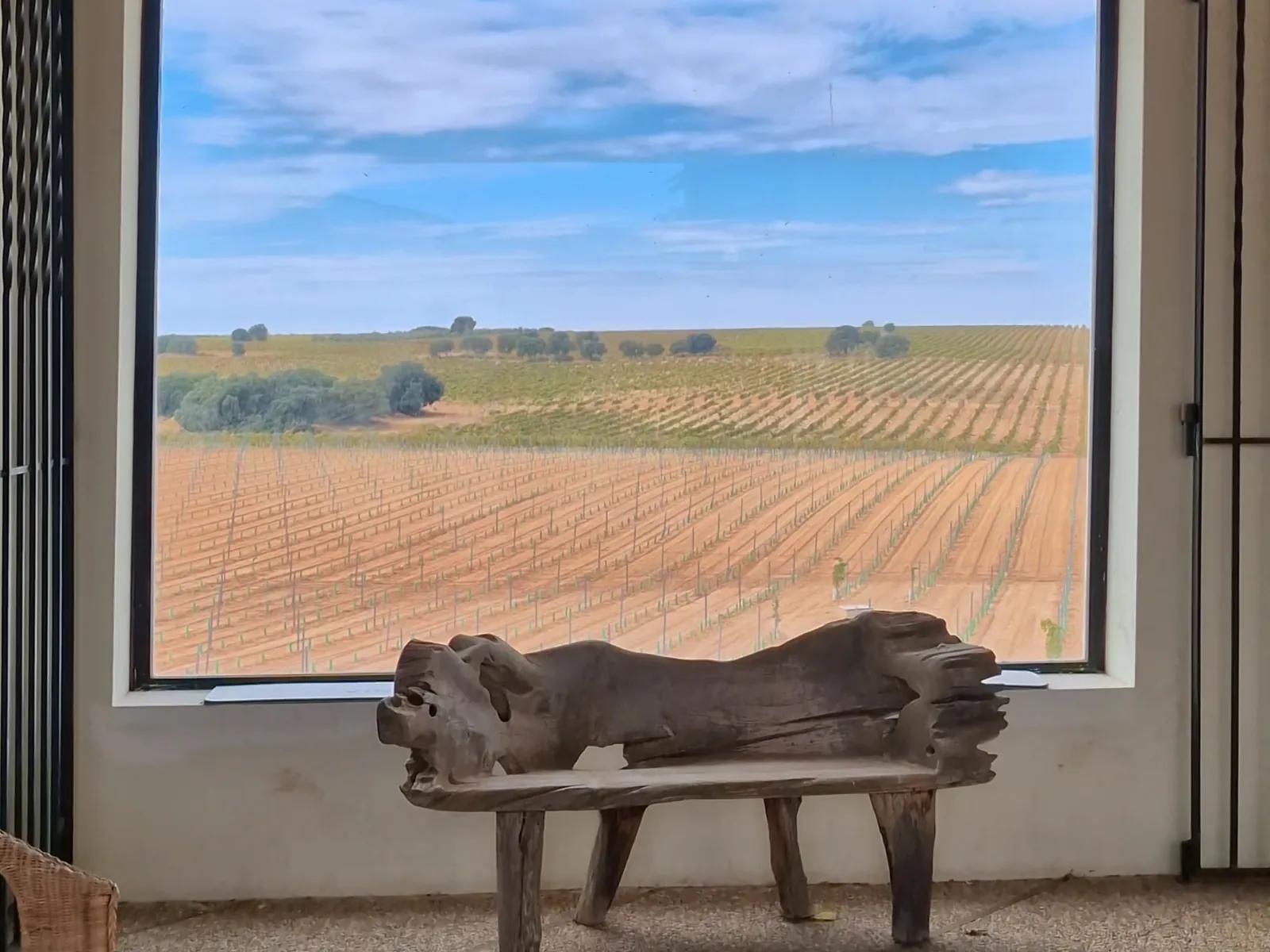 Sala de catas de Finca Antigua con ventanal al viñedo