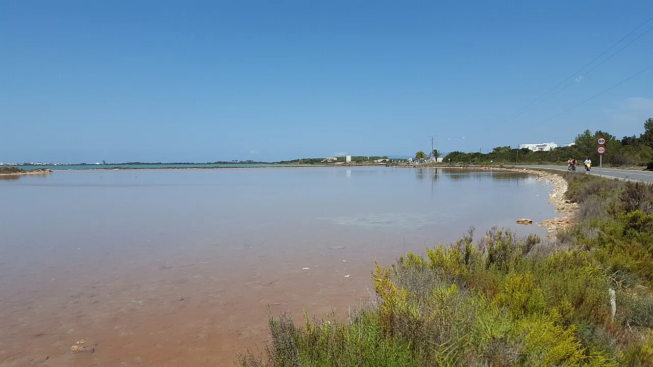 Estany Pudent en Formentera