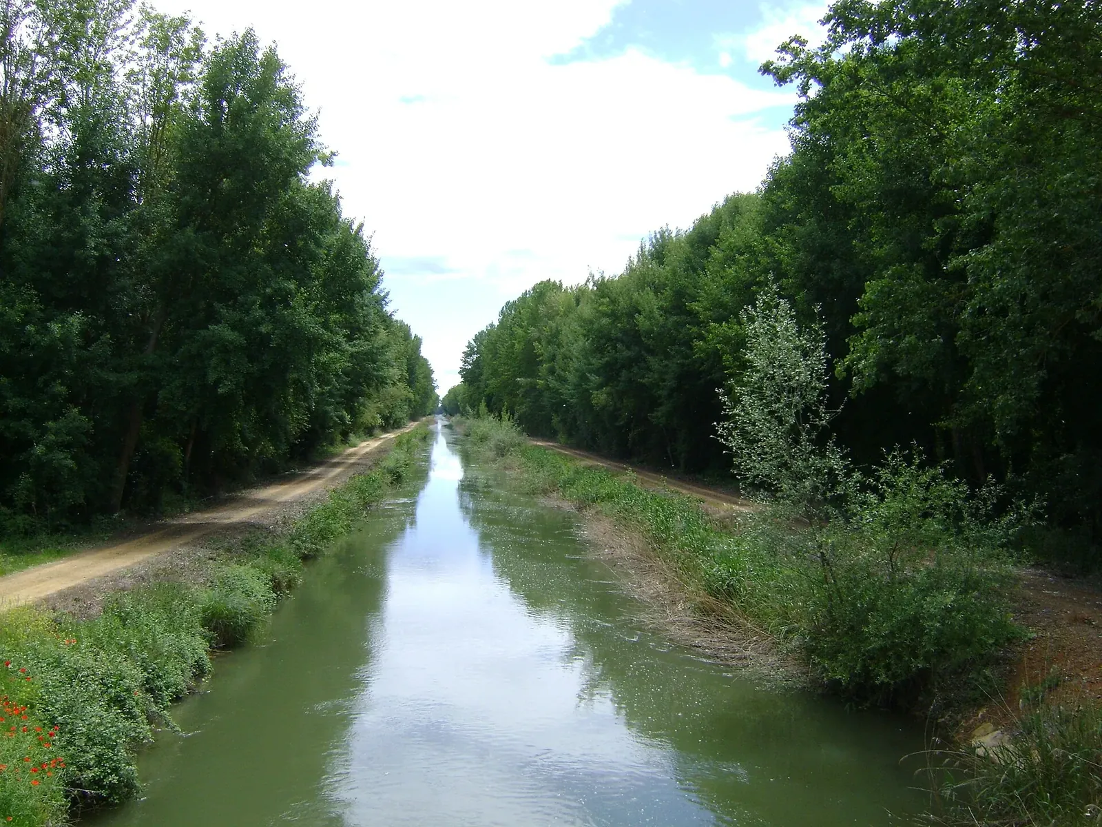 Camino de sirga junto al Canal de Castilla entre árboles