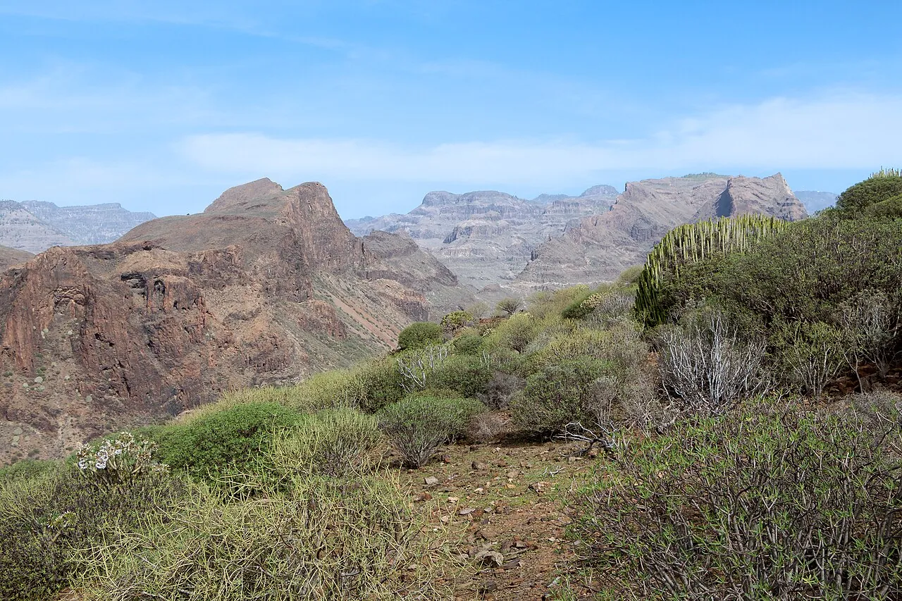 Barranco de Fataga en Gran Canaria