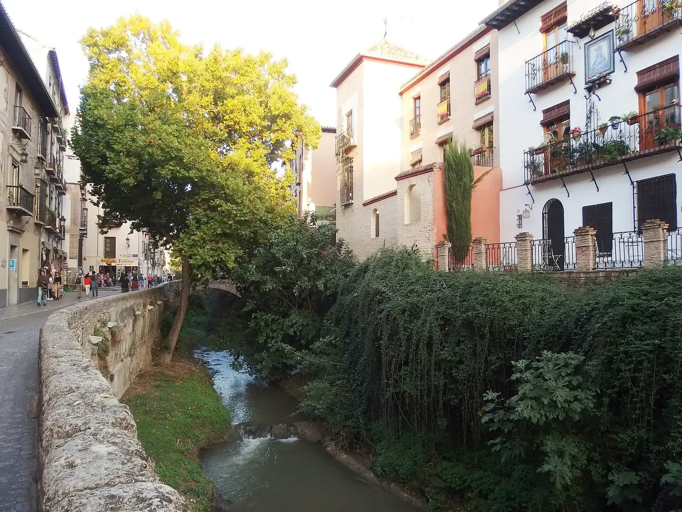Carrera del Darro junto al río en Granada