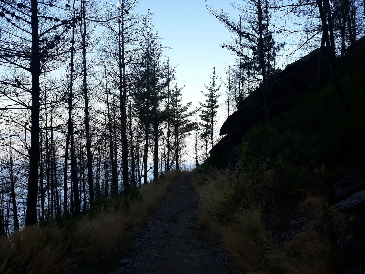 Camino Primitivo cerca del embalse de Grandas de Salime