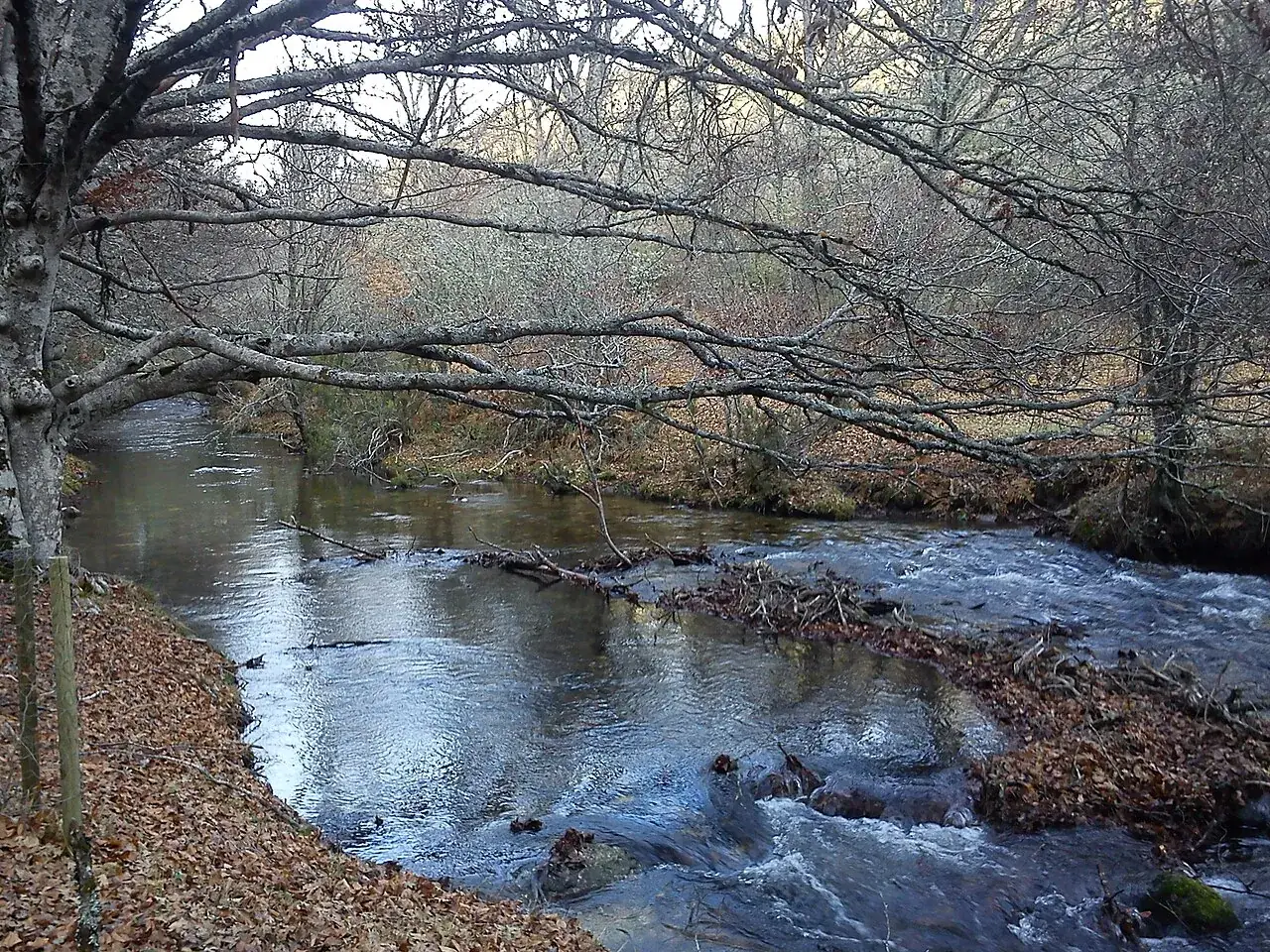 Río Jarama en el Hayedo de Montejo