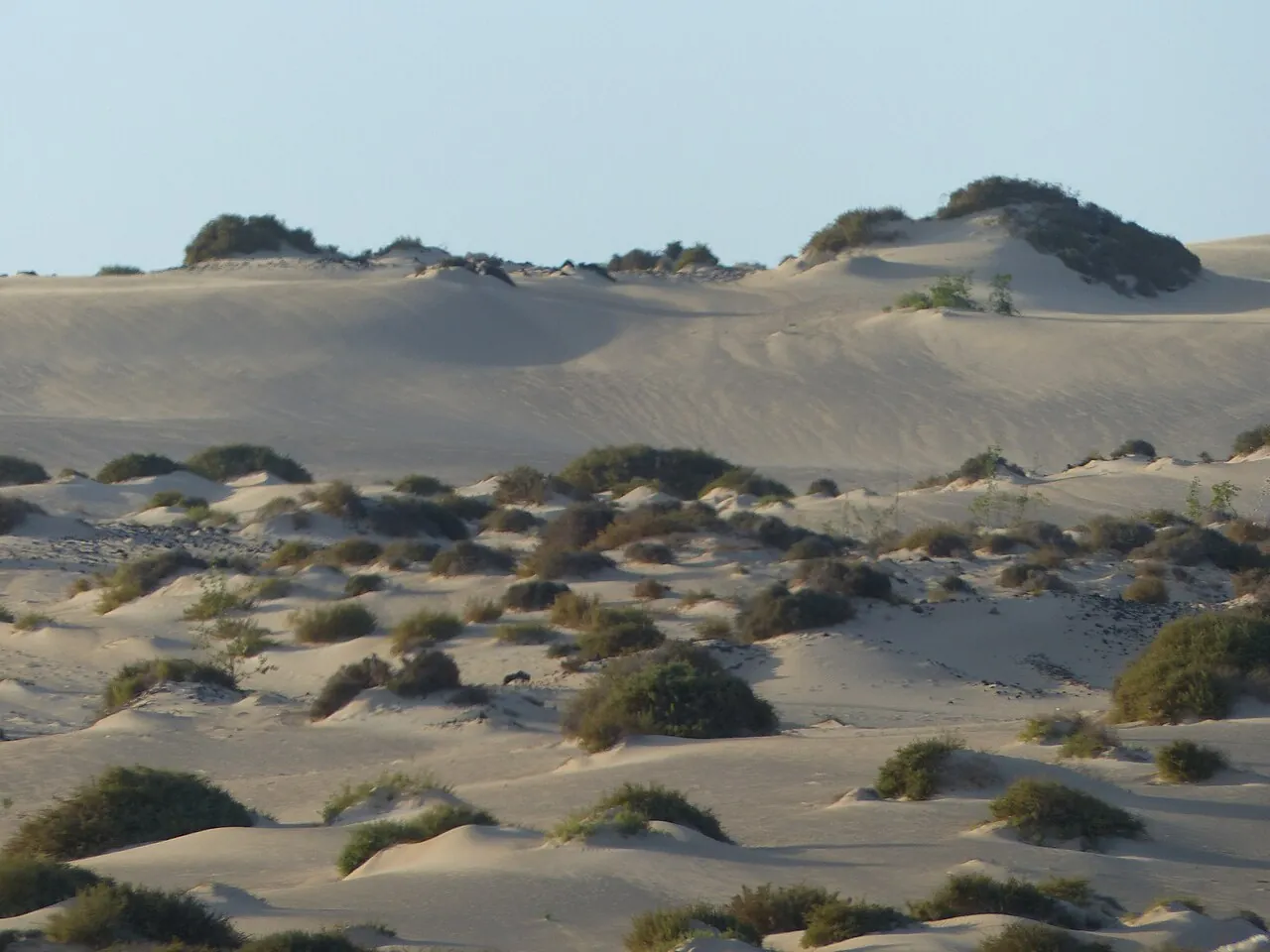 Dunas de Corralejo en Fuerteventura
