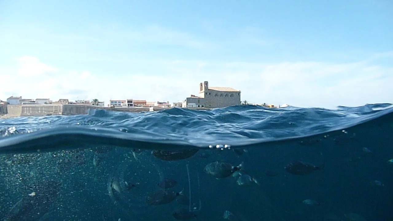Fondo marino junto a la isla de Tabarca