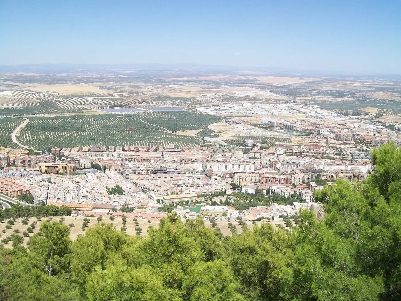 Vista de Jaén y el mar de olivos desde el cerro de Santa Catalina