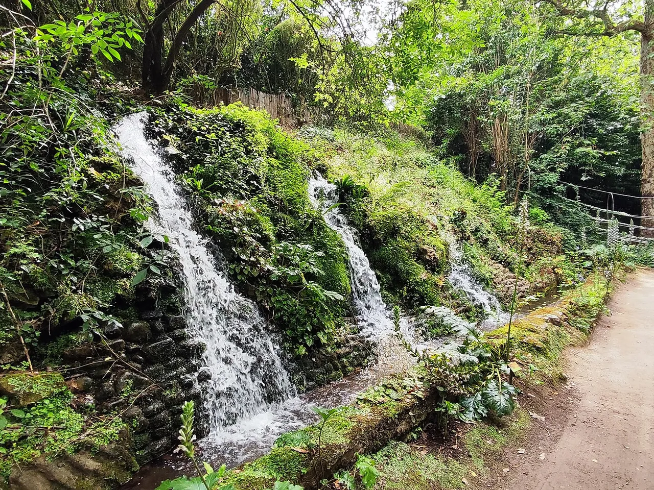 Cascadas en el Jardín Botánico Atlántico