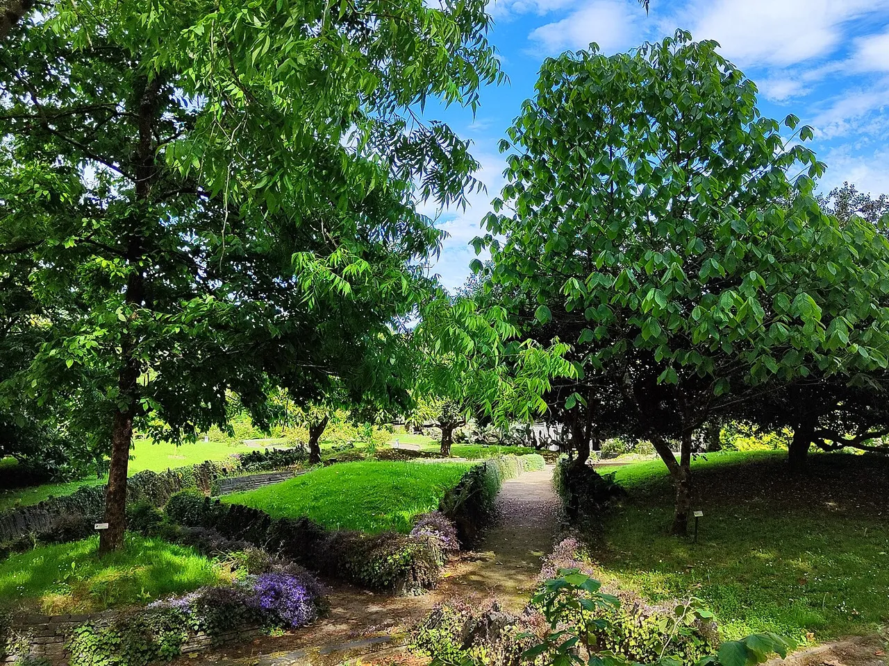 Zona de jardín en el Jardín Botánico Atlántico