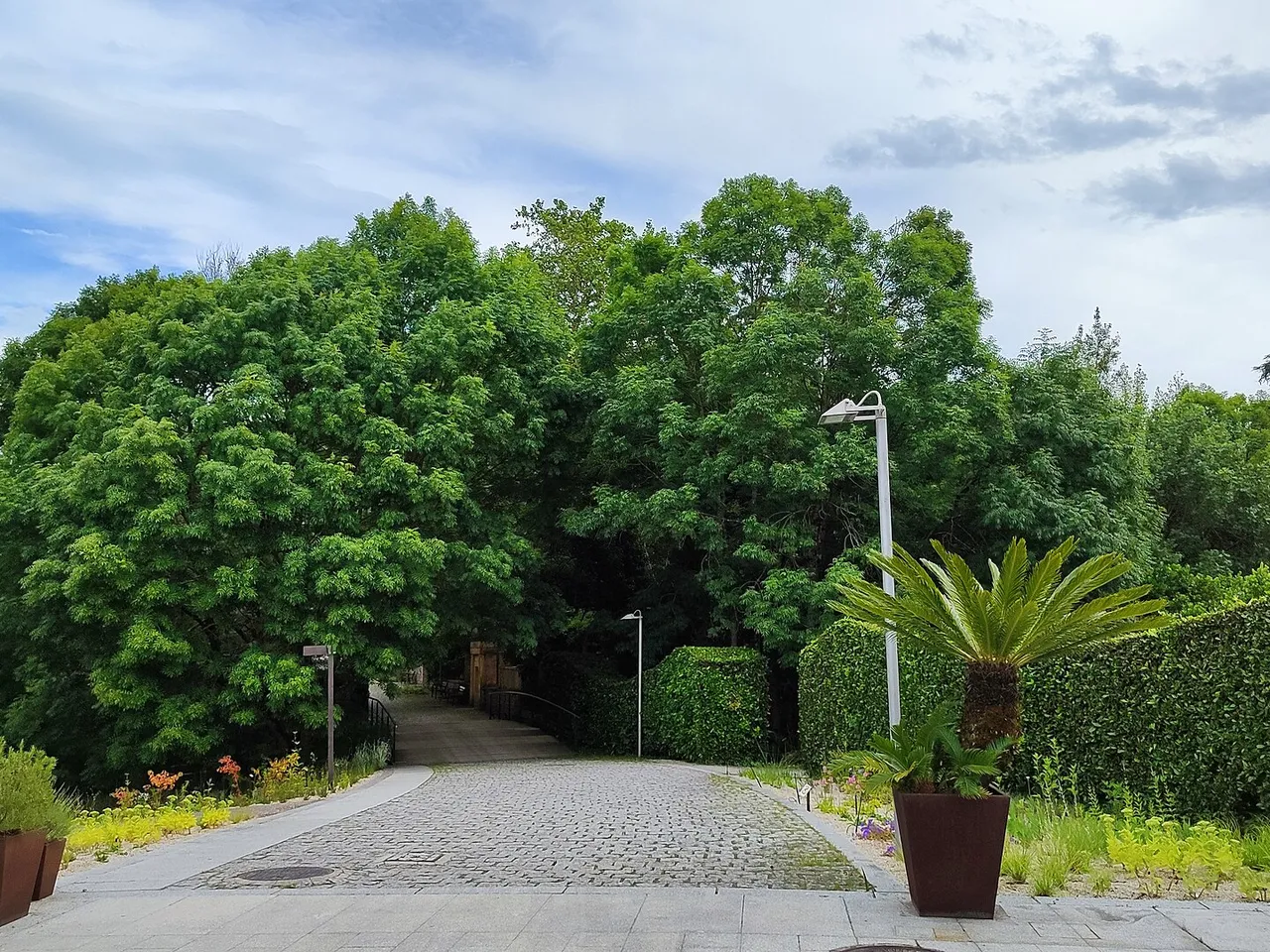 Camino entre árboles en el Jardín Botánico Atlántico