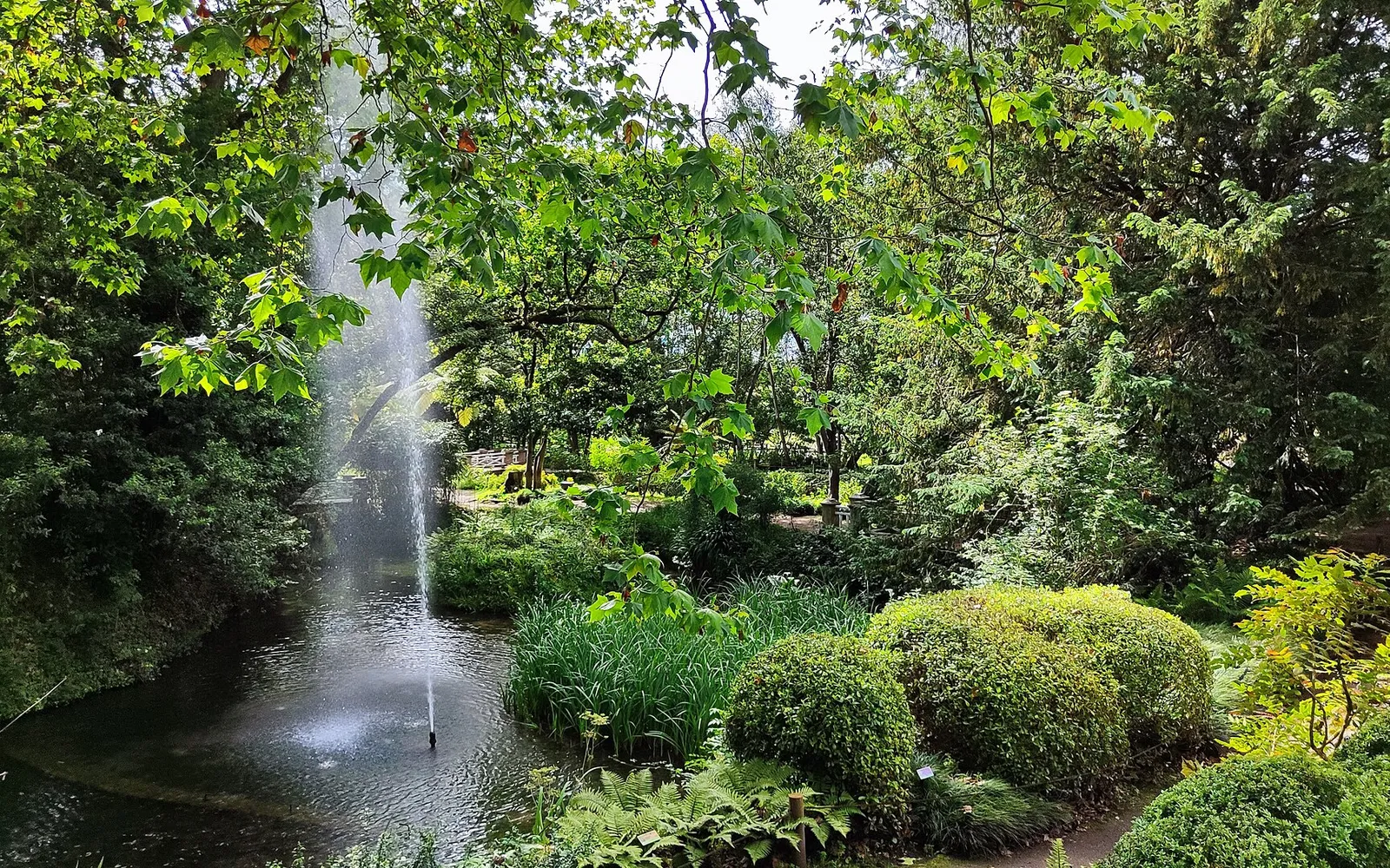 Jardín Botánico Atlántico