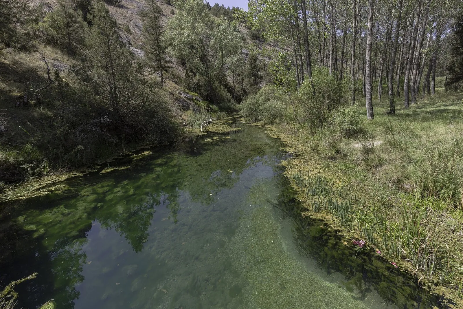 Río Abión de aguas claras entre paredes de roca